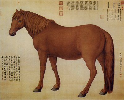 Un cavallo chiamato Dawanliu da Giuseppe Castiglione